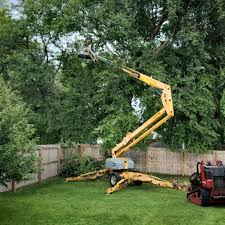  , USA Tree Services Pros